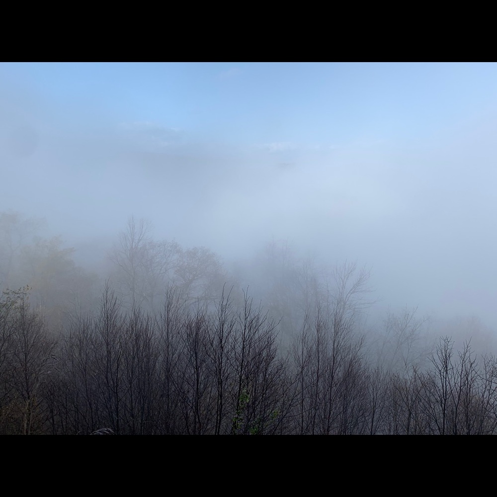 Meet your Posher, Saima